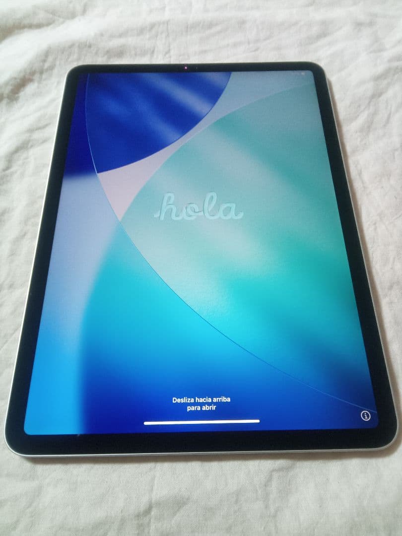 美品 iPad Pro11インチ 第1世代 バッテリー87%