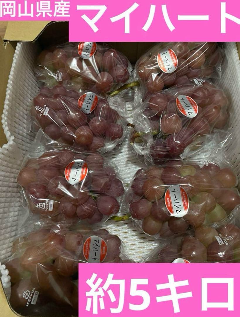 ② 【岡山県産】マイハート(葡萄)7〜8房 約5キロ
