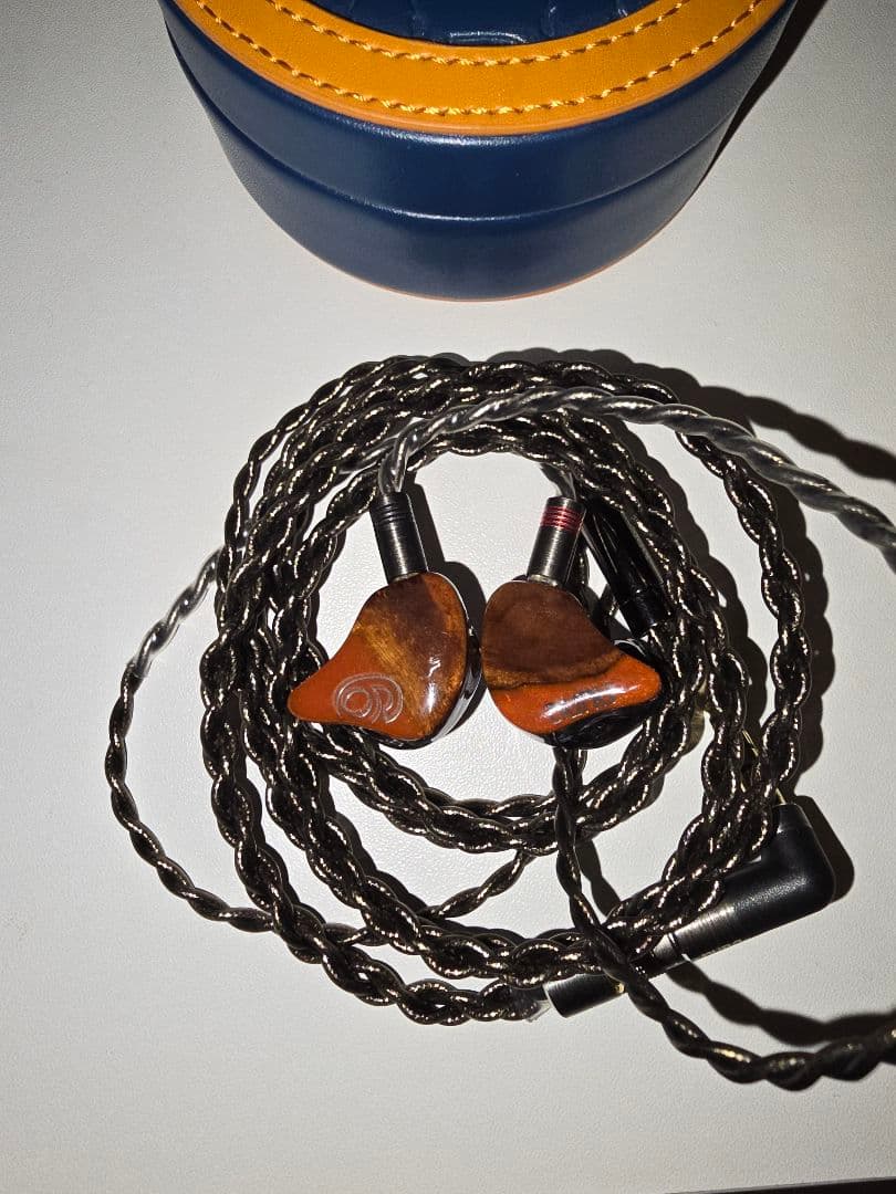 最終値下げ DUNU sa6 mk2