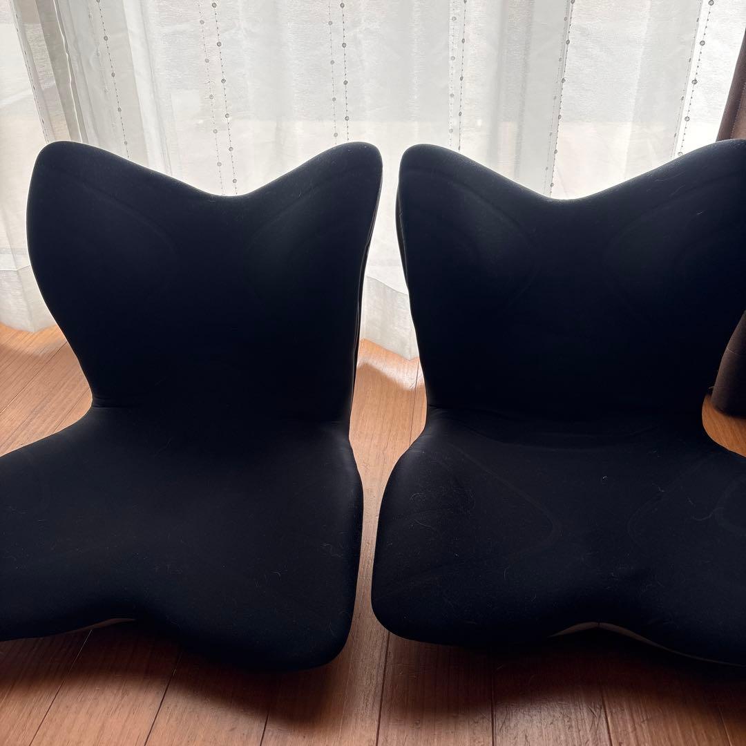 スタイルプレミアム姿勢矯正クッション ブラック 2個セット