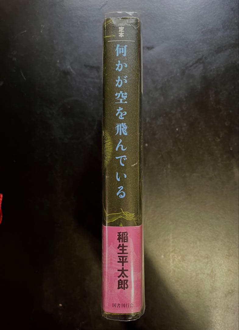 絶版 帯付き 稲生平太郎 定本 何かが空を飛んでいる