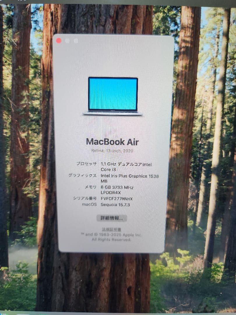 MacBook本体 Macbook Air 2020 i3 8GB/256GB