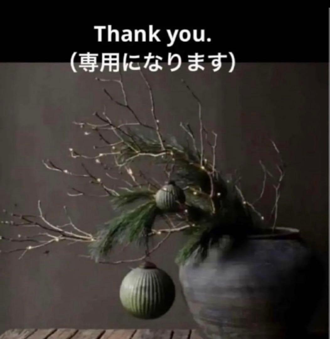 ODELIC オーデリックLEDシーリングライト＋リモコン