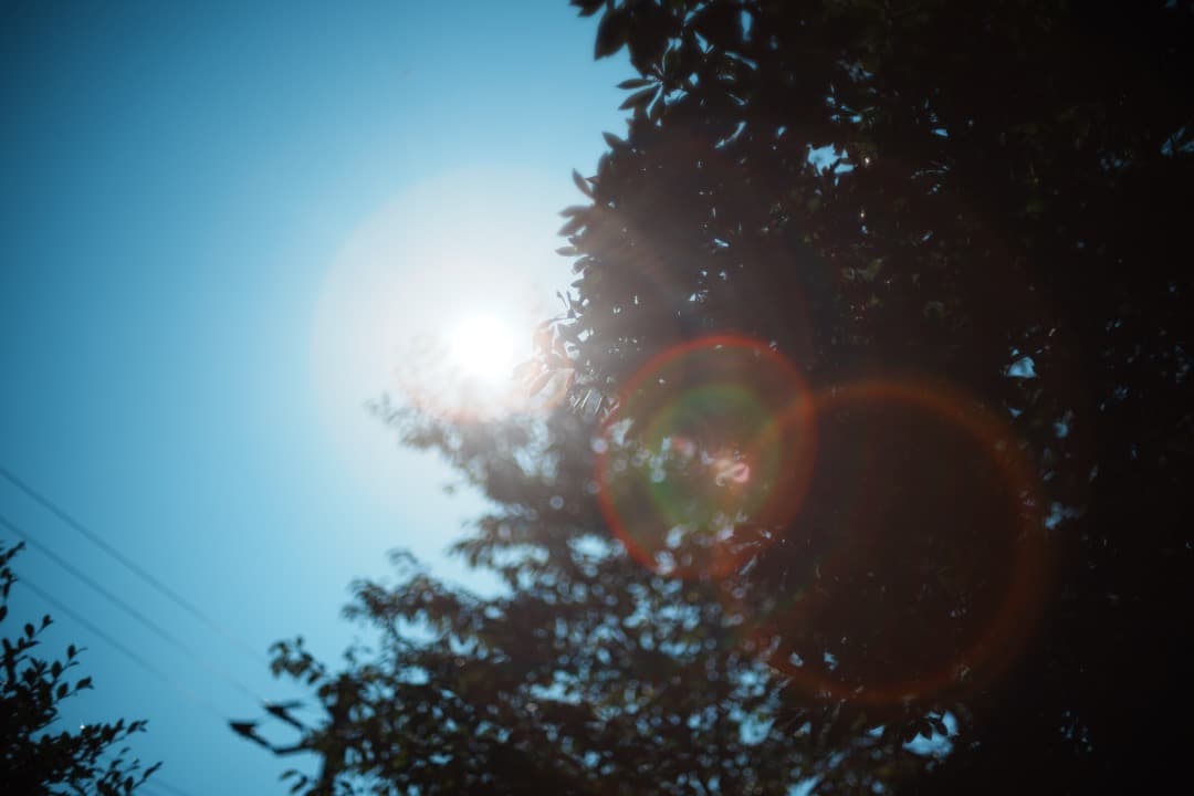 希少8枚玉 ペンタックス Super Takumar 50mm F1.4 430