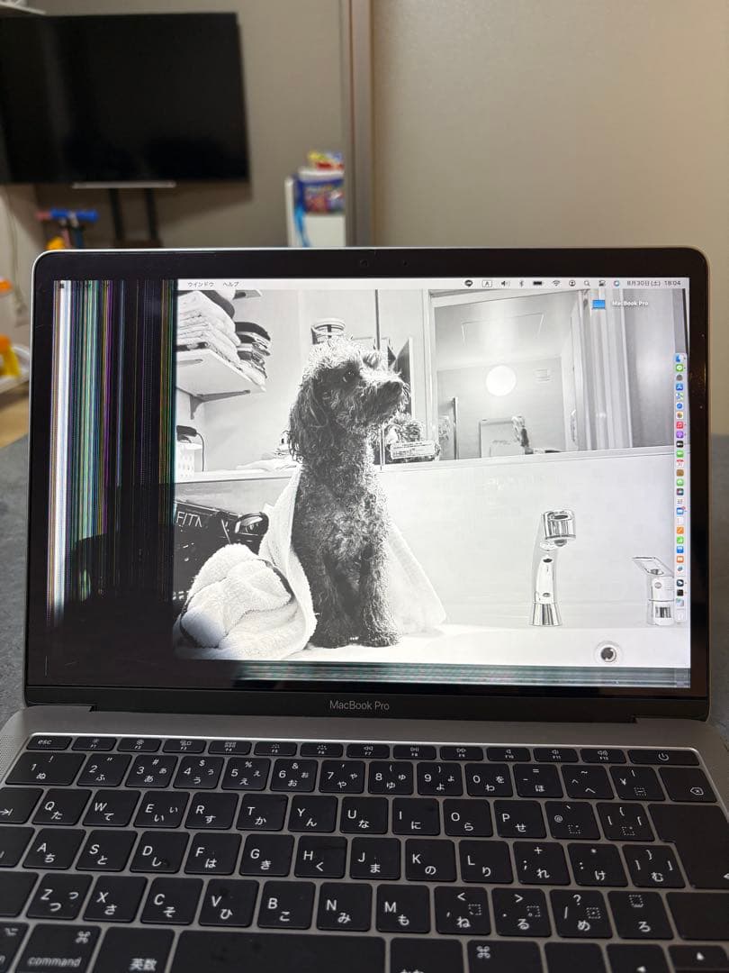 Apple MacBook Pro 2017 スペースグレイ