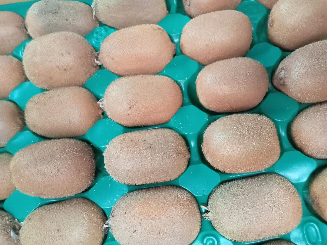 キウイフルーツ＆紅あづまLサイズ＆ジャガイモセット