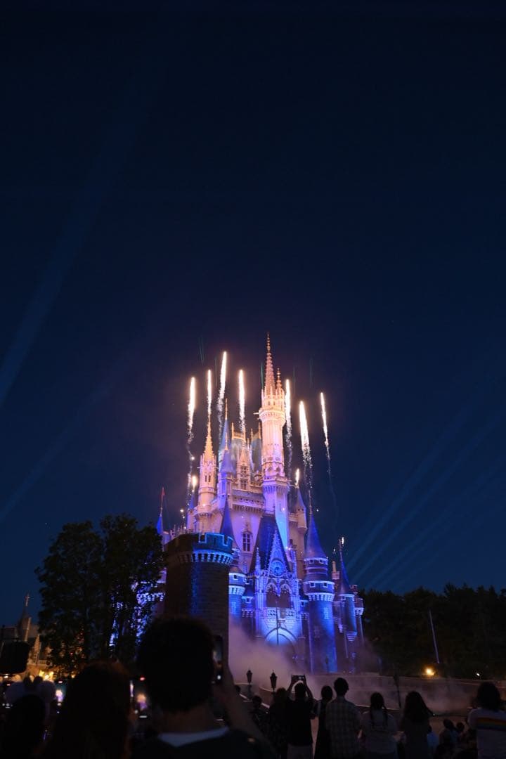 作画有　SIGMA 16mm F1.4 Zマウント