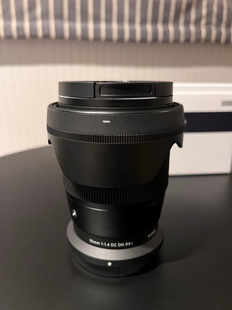 作画有　SIGMA 16mm F1.4 Zマウント