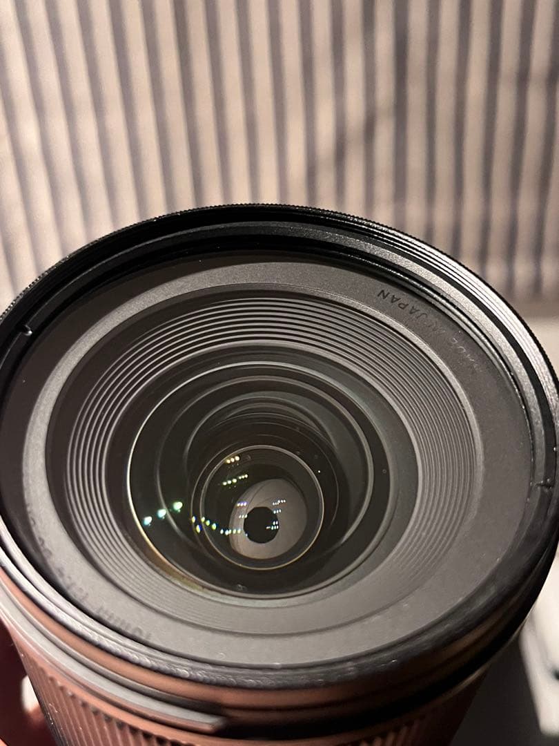 作画有　SIGMA 16mm F1.4 Zマウント