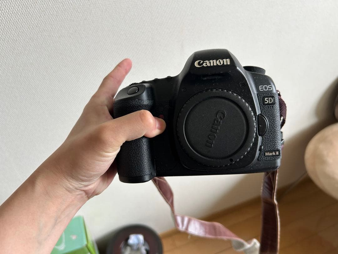 完全動作確認済み 【美】Canon EOS 5D Mark II 一眼レフ