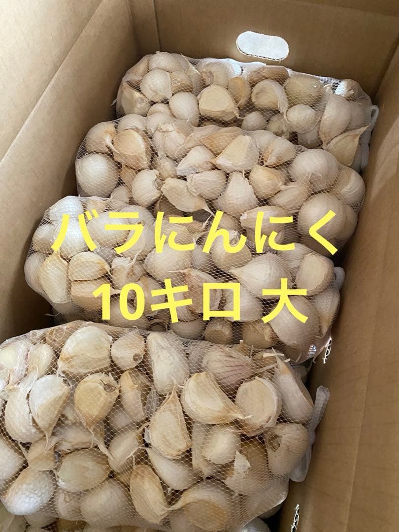 新物　青森県バラにんにく10Kg 大　早い者勝ち