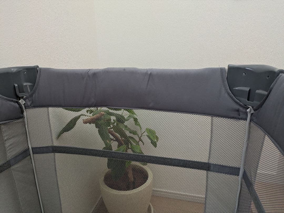 アプリカ ココネルエアー　AB グレー ベアー