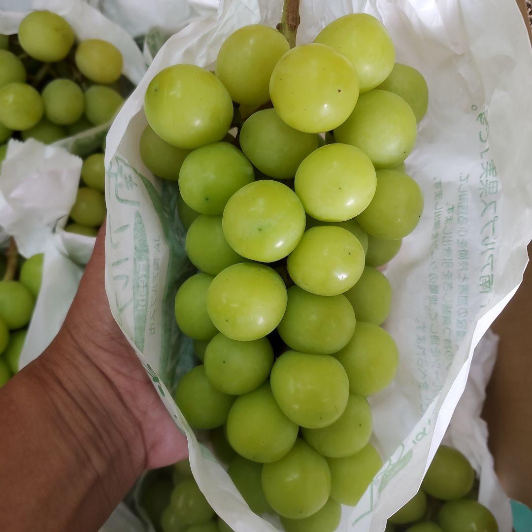 3️⃣ 山梨県産 シャインマスカット １０房入り 箱込み5.3キロ