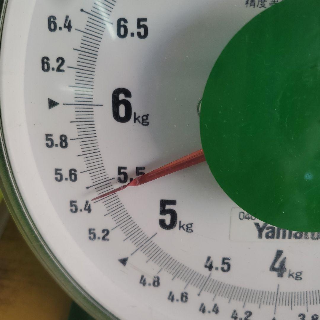 3️⃣ 山梨県産 シャインマスカット １０房入り 箱込み5.3キロ