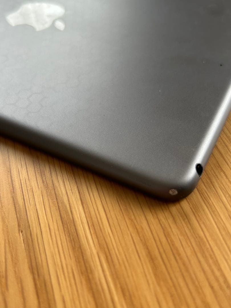 masa 様　iPad mini5 第5世代　64GB バッテリー最大容量91%