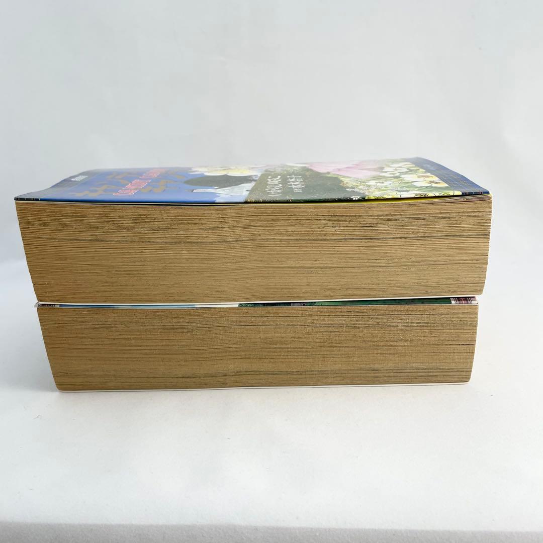 【名作】キャンディ♡キャンディ 愛蔵版 2巻セット 希少 CANDY CANDY