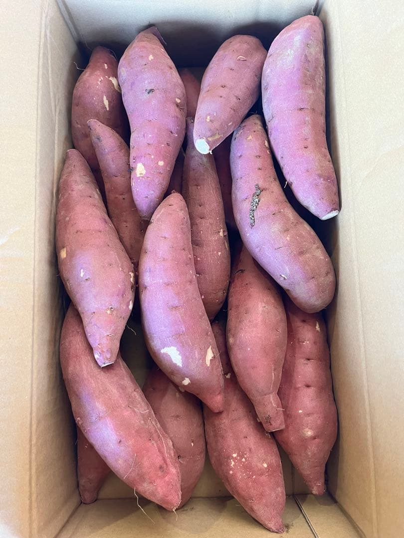 YU！大分県産　甘太くんA品Lサイズ　20キロ