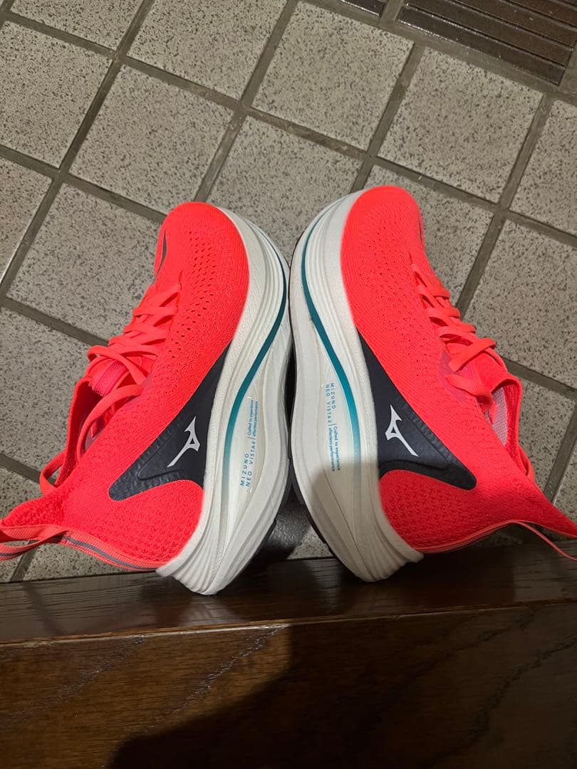 ミズノ　ネオビスタ2 メンズ25.5cm