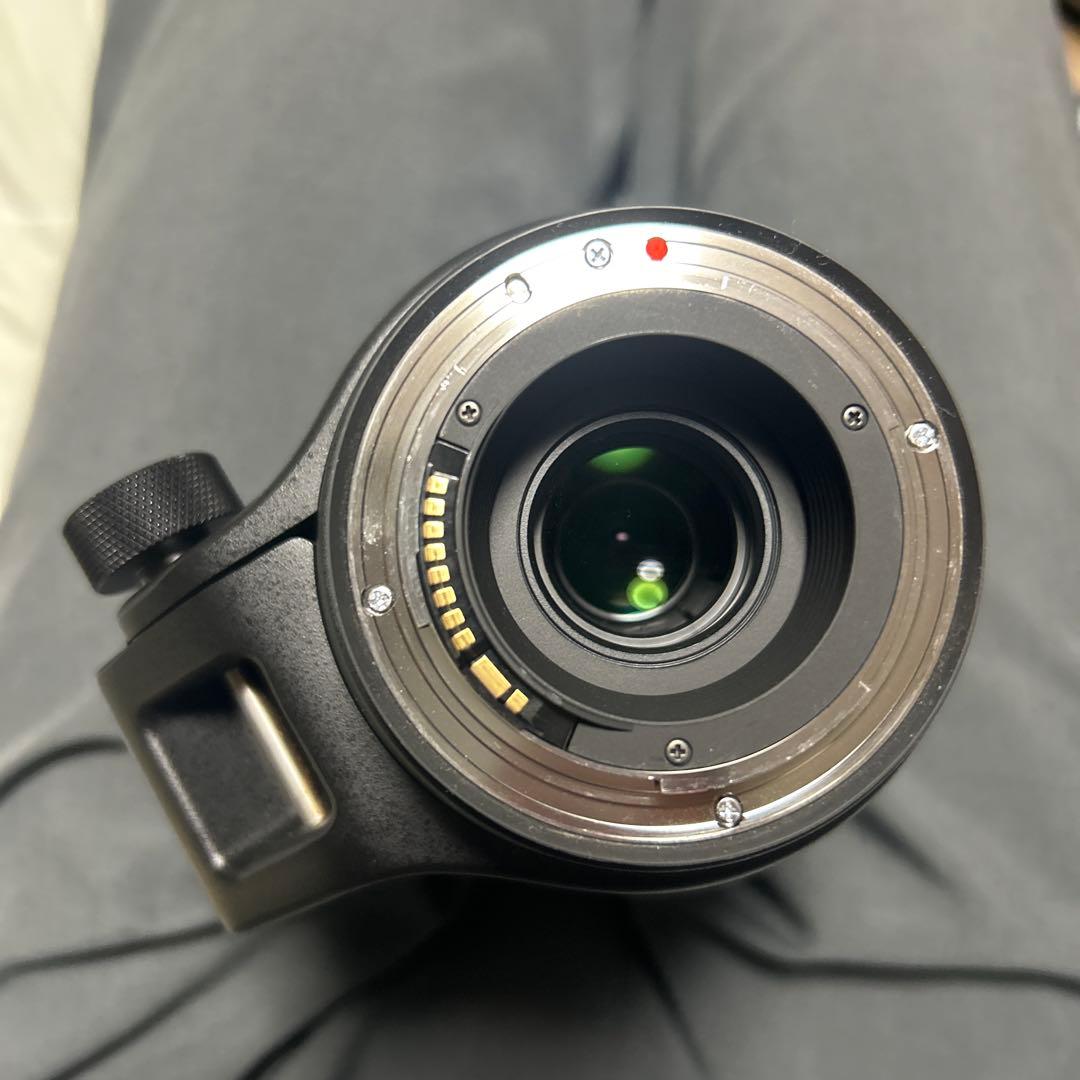 Sigma 150-600mm contemporary キヤノン用