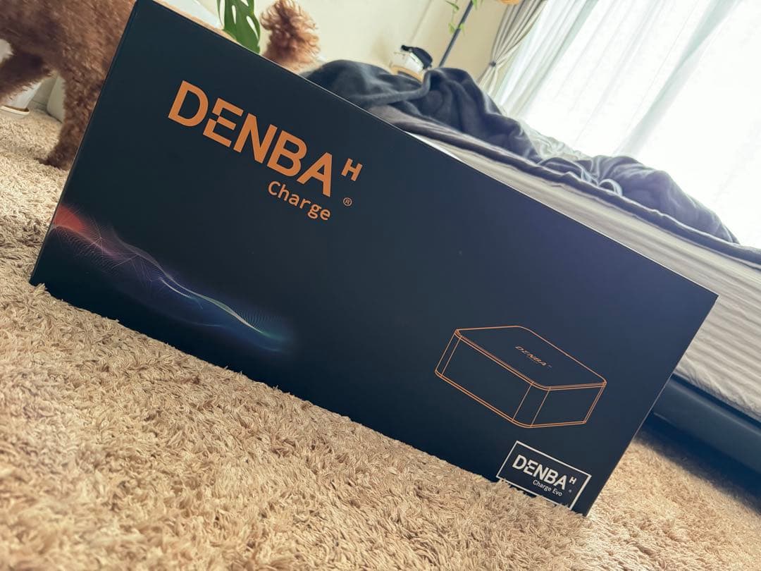 DENBA Charge 健康管理デバイス