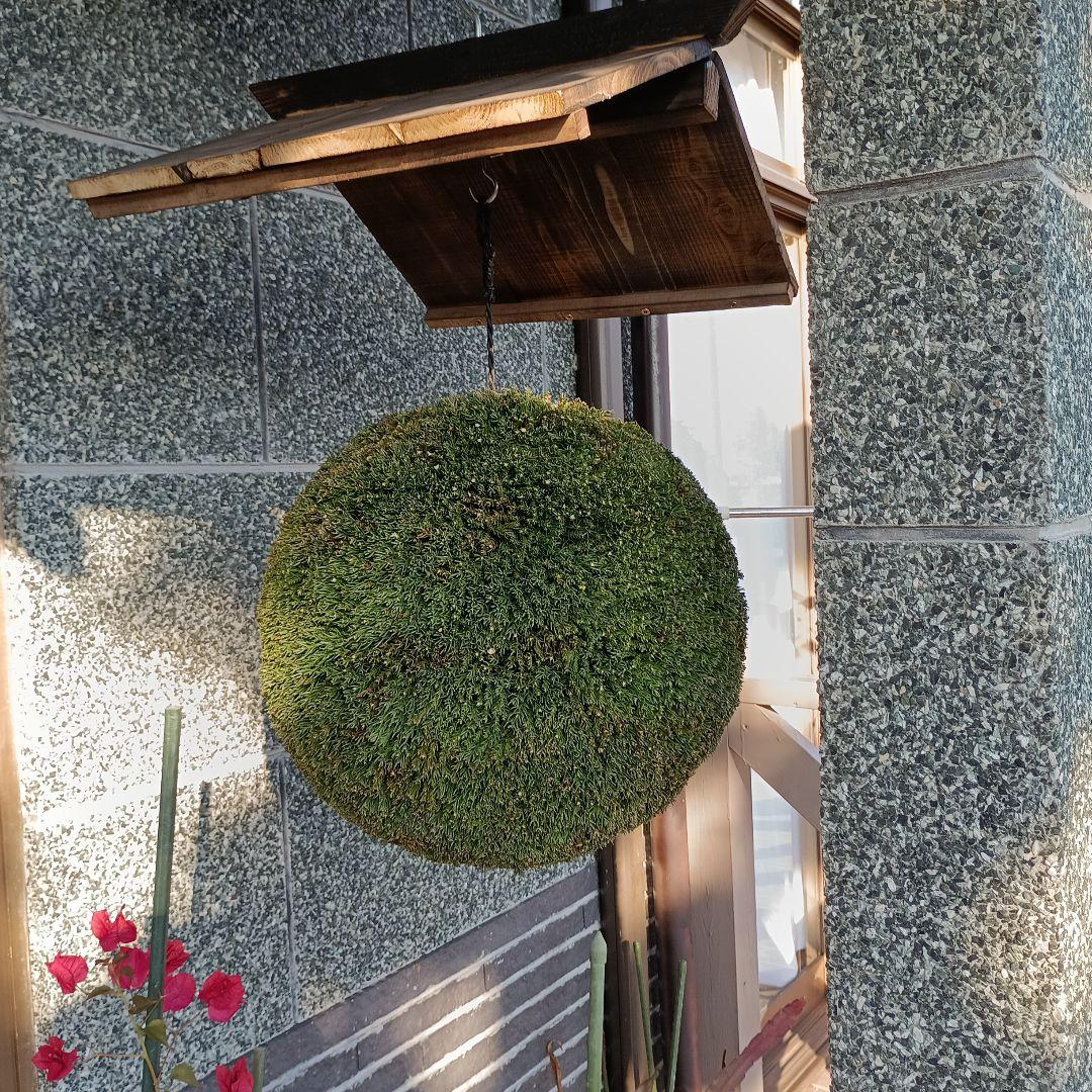 杉玉、屋根付き、杉玉直径38ｃｍ