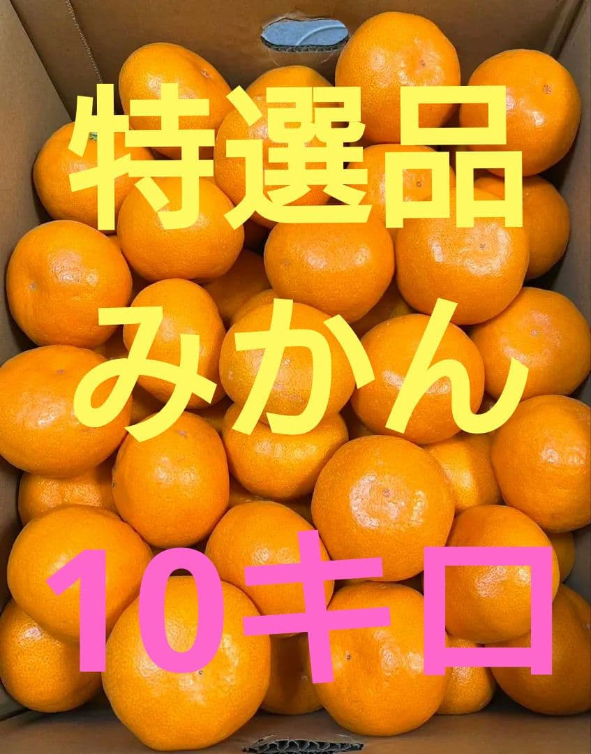 緑の箱のすごいみかん　Lサイズ5000g