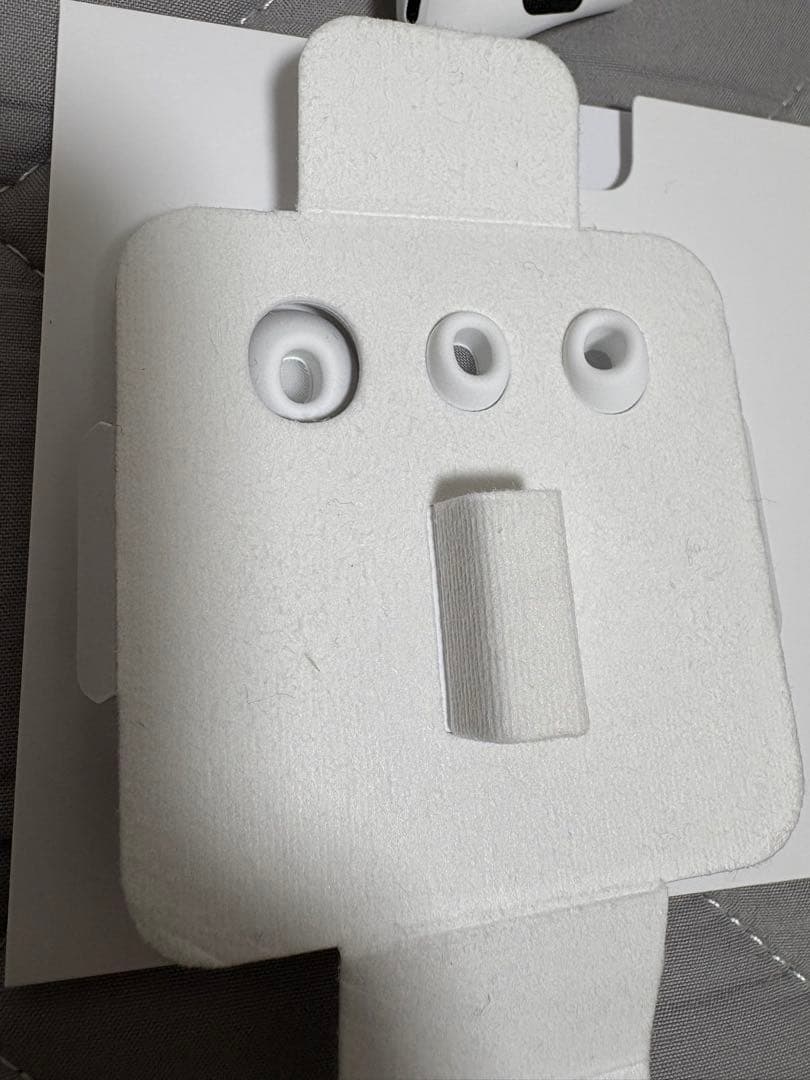 【美品】AirPodsPro2右耳ライトニング式片耳　イヤーチップ付中古