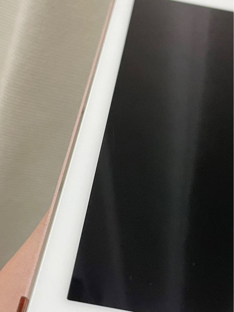 【早い者勝ち】ケース付き‼️iPad Pro 9.7インチ　256GB