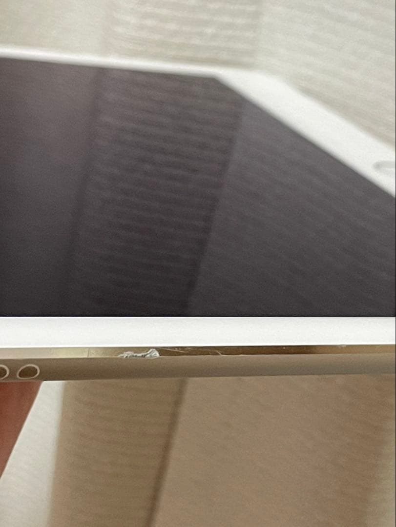 【早い者勝ち】ケース付き‼️iPad Pro 9.7インチ　256GB