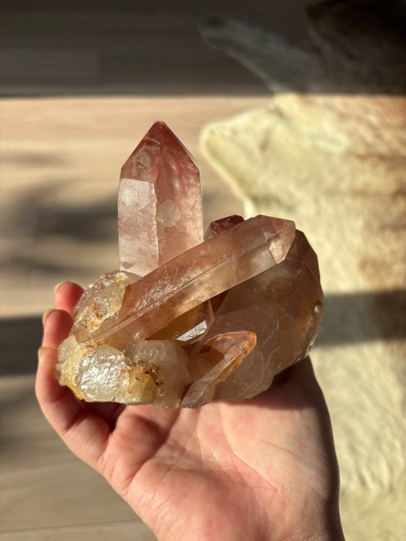 【SALE‼️】希少！　スカーレットテンプルレムリアン