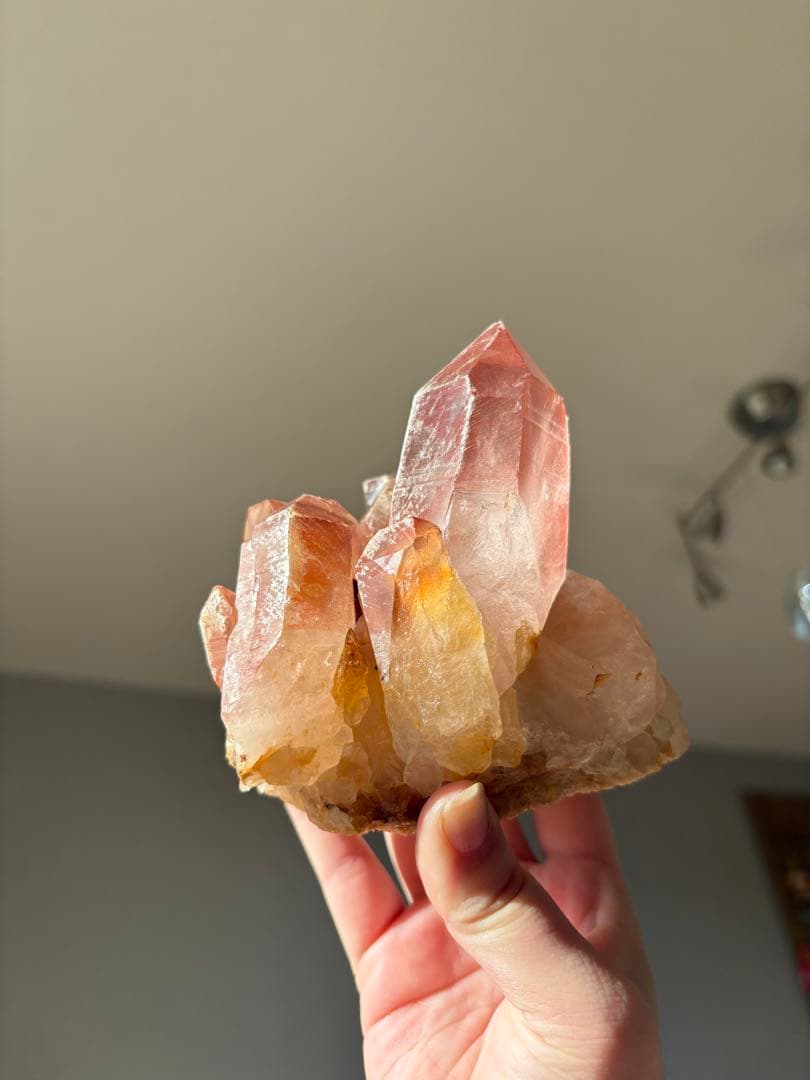 【SALE‼️】希少！　スカーレットテンプルレムリアン