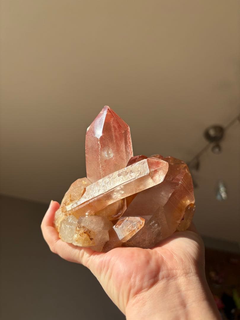 【SALE‼️】希少！　スカーレットテンプルレムリアン