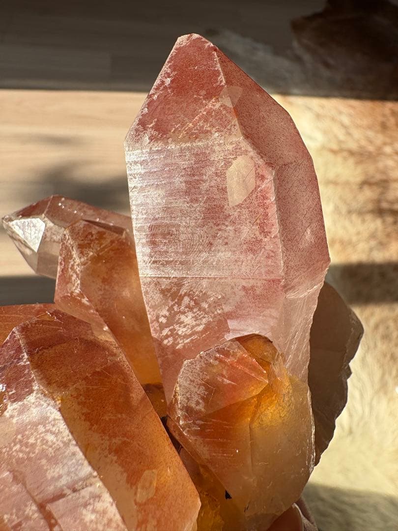 【SALE‼️】希少！　スカーレットテンプルレムリアン