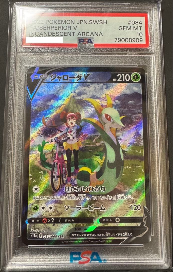 ジャローダV CSR PSA10 鑑定品