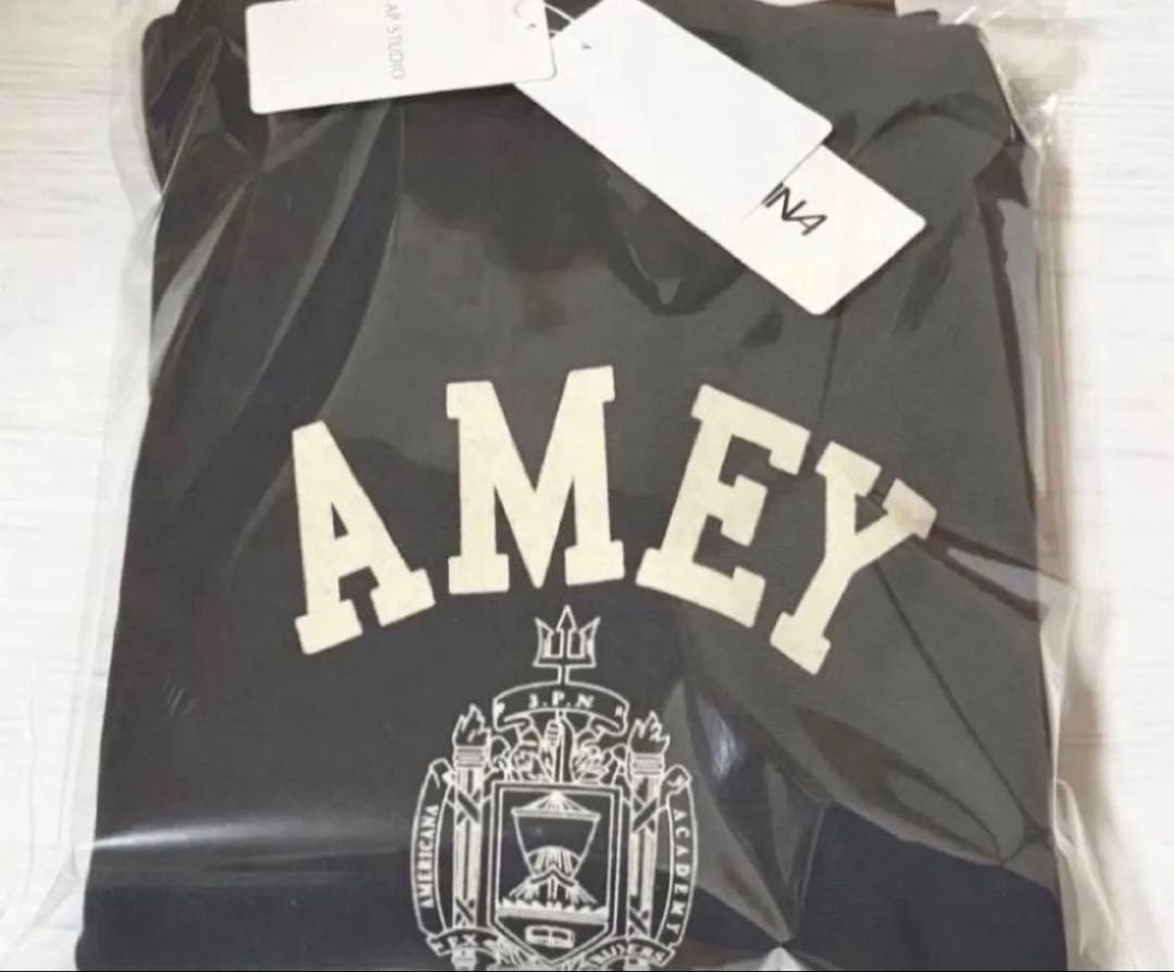 【アメリカーナ】AMEY emblem HOODIE PULLOVER