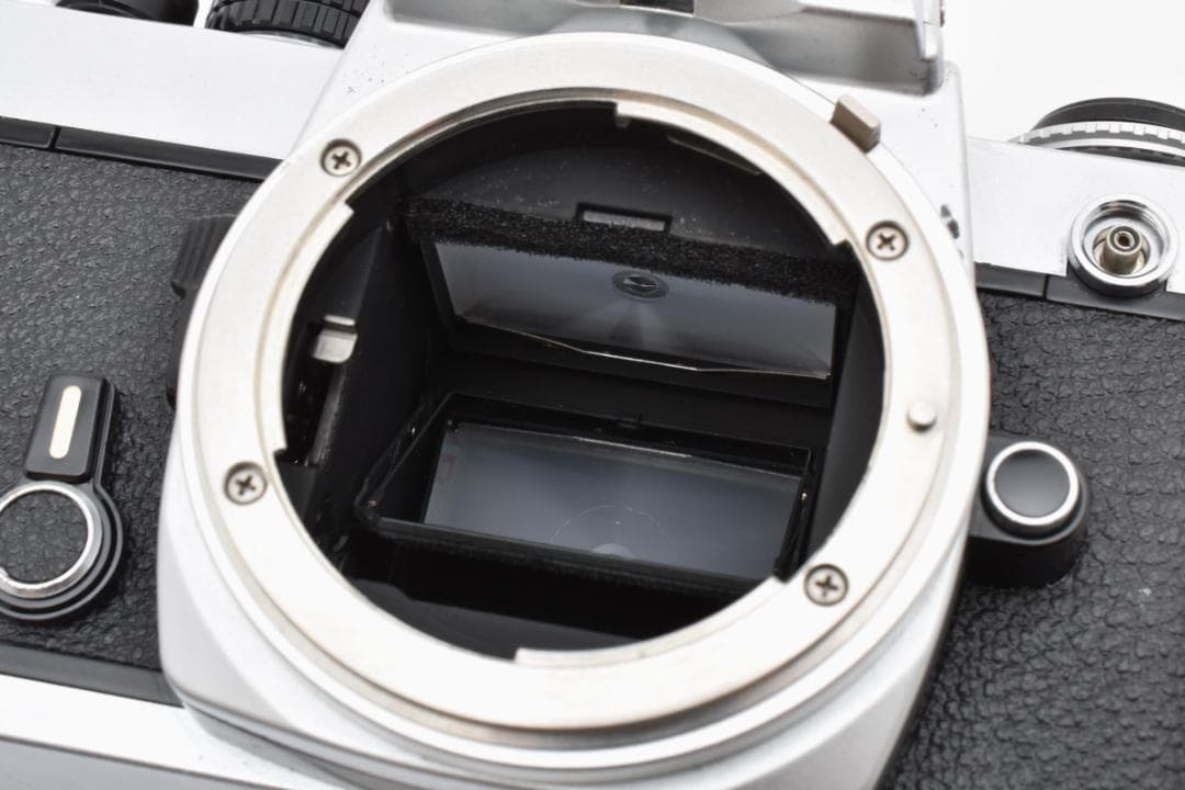 超美品 NIKON ニコン FE シルバー モルト新品交換済 M874