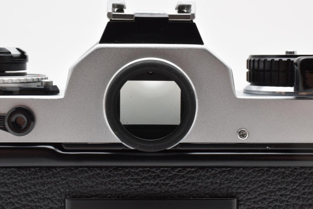 超美品 NIKON ニコン FE シルバー モルト新品交換済 M874