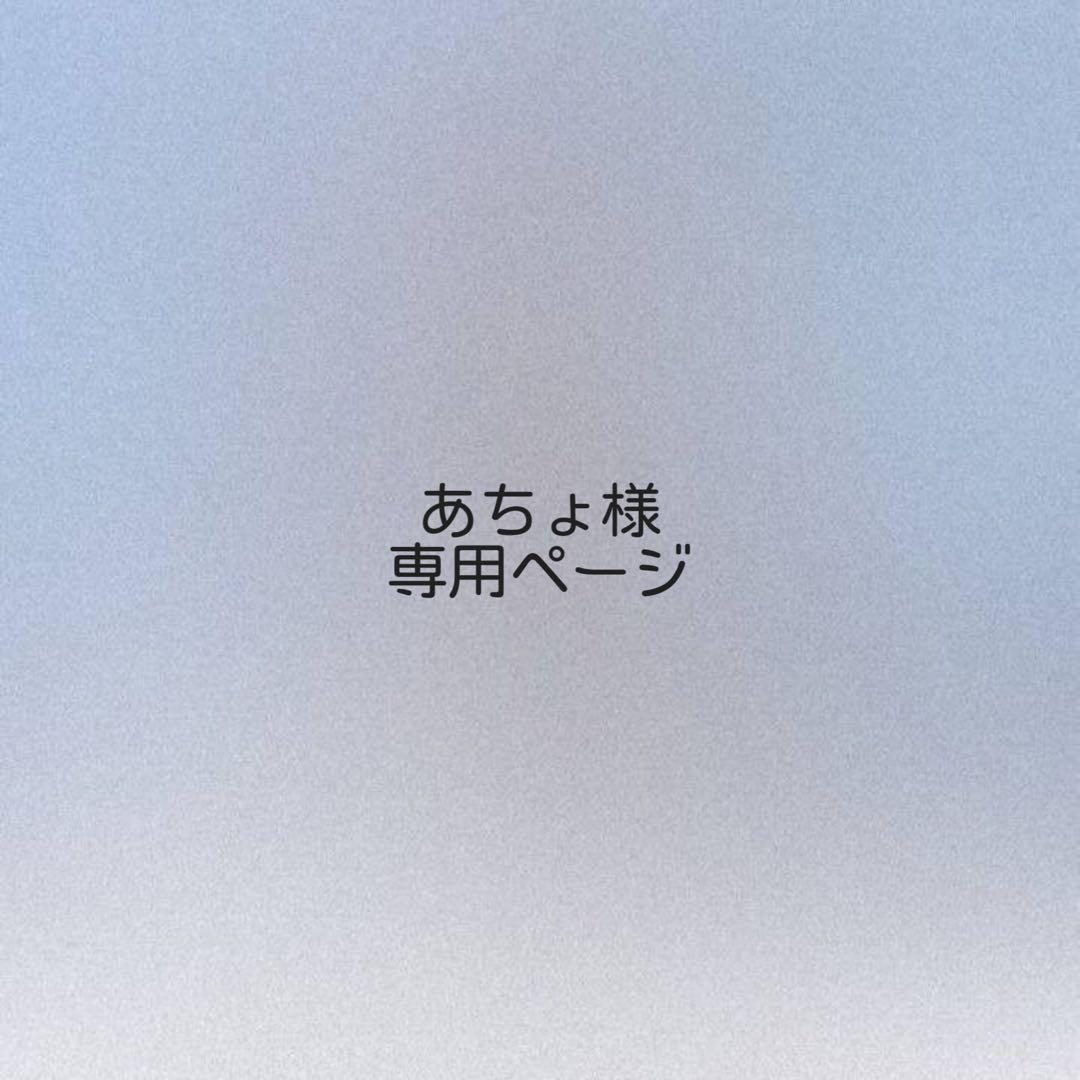 あちょ様 オーダーページ
