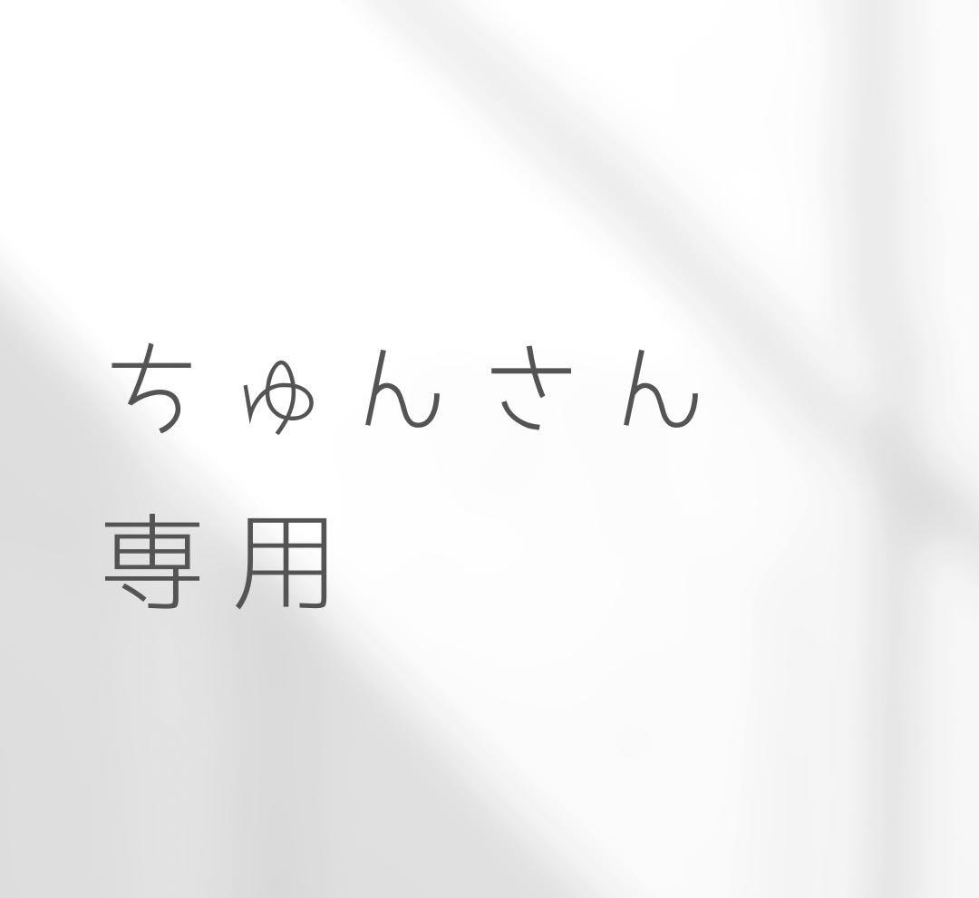 ハイビタリオン　インディバ社　イオン導入機
