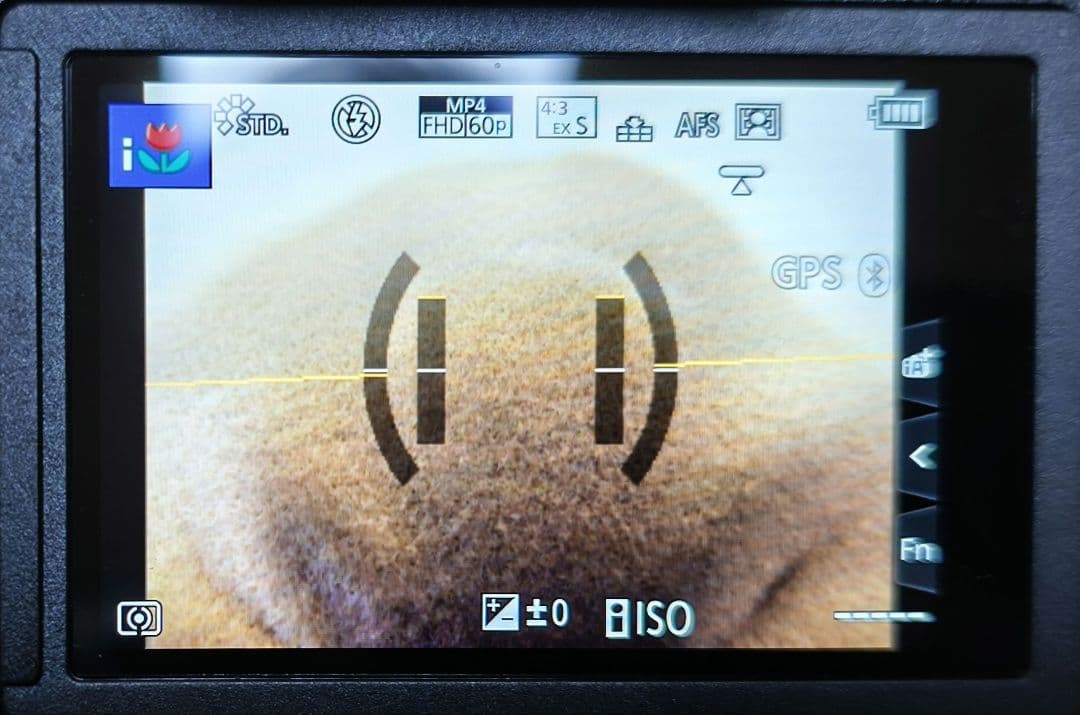 ルミックス　DC-FZ1000M2 Panasonic　ネオ一眼