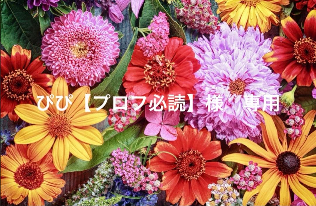 ぴぴ【プロフ必読】