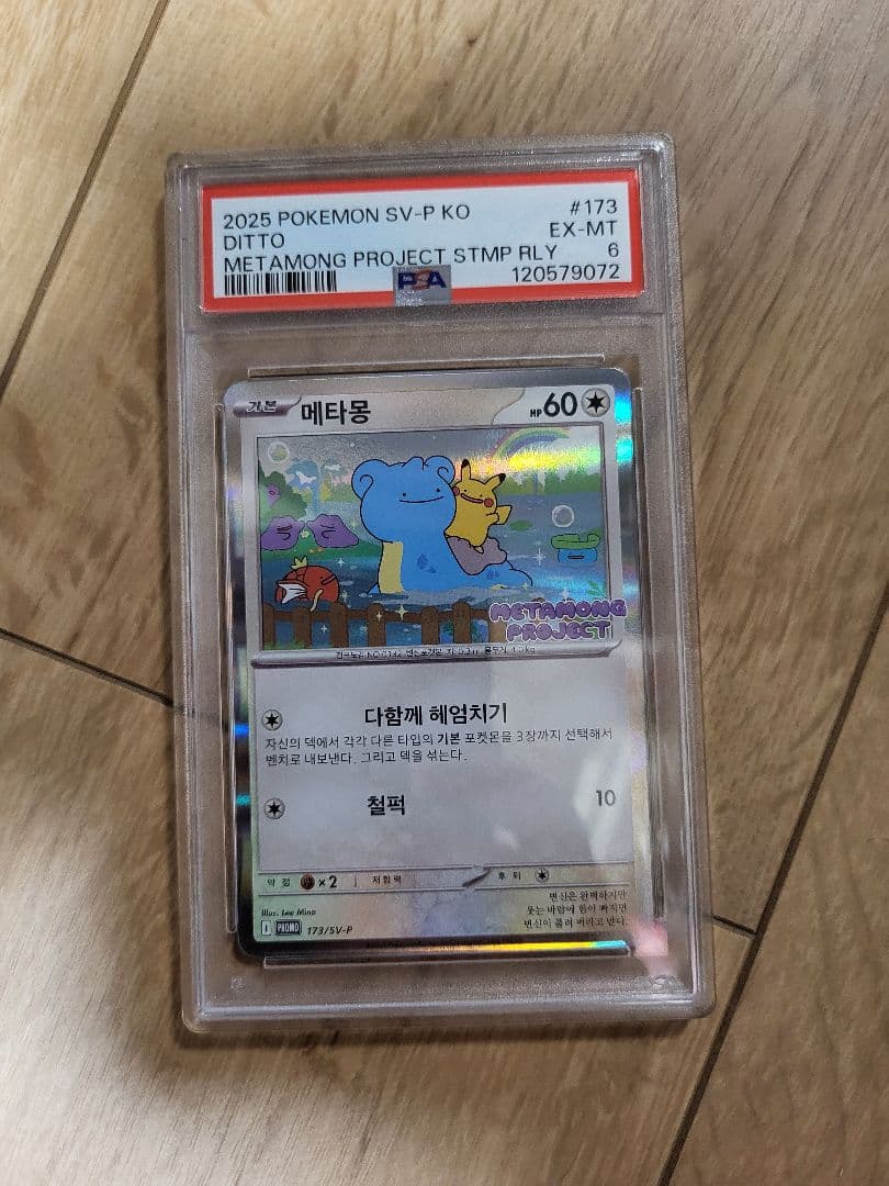 PSA 韓国 メタモン プロモ 2025年