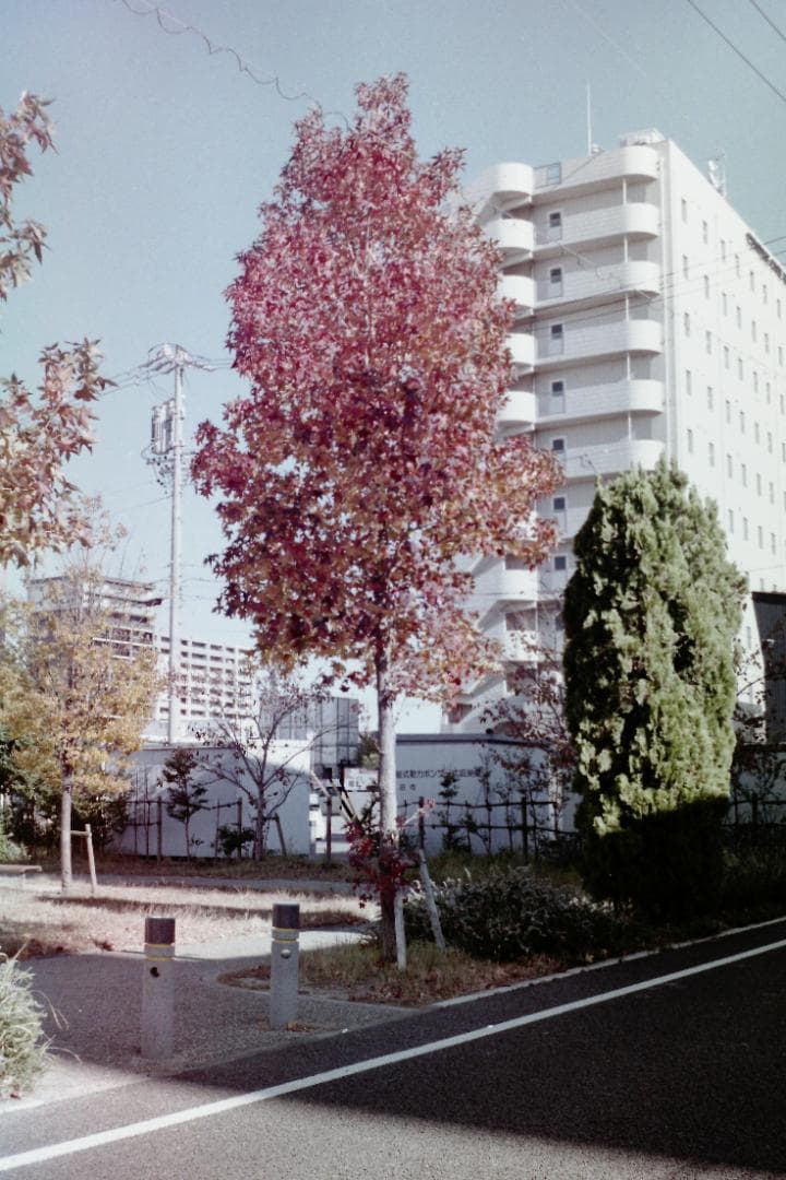 ☆整備済みです☆OLYMPUS TRIP35　⑫