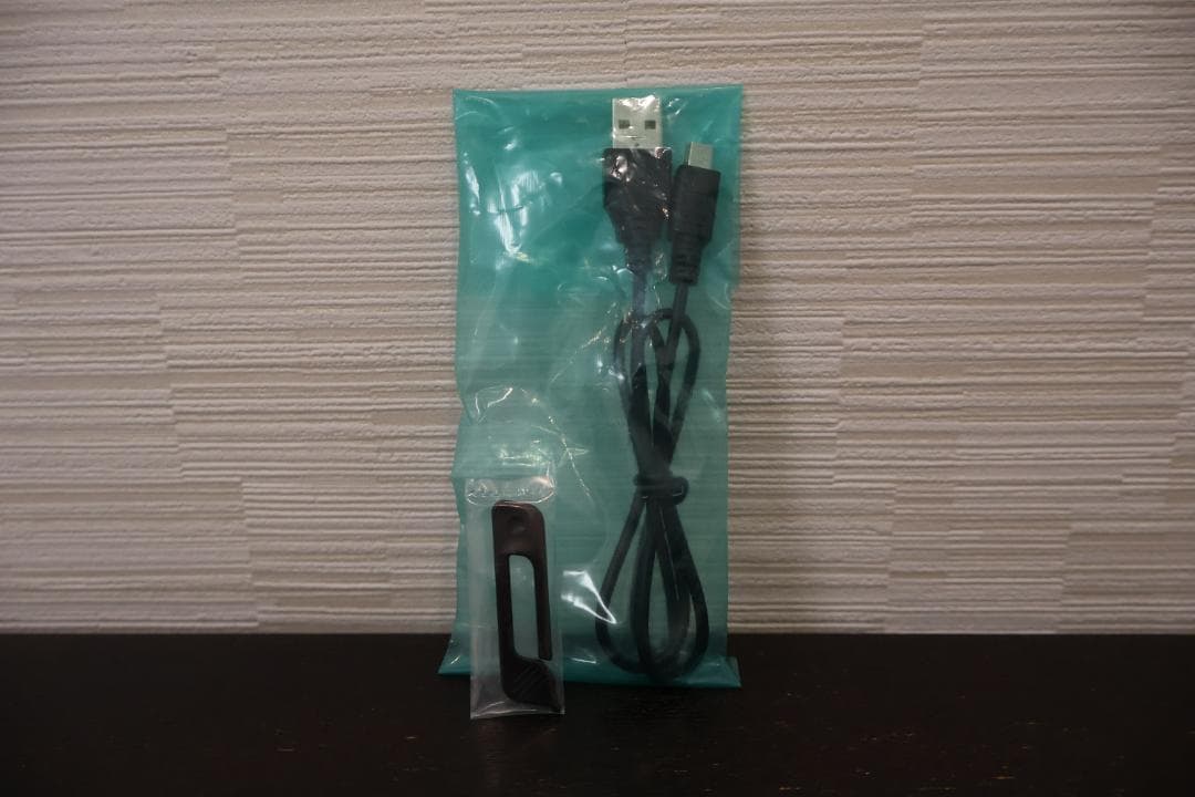 【動作良好】Canon デジタルビデオカメラ iVIS HF R31 シルバー