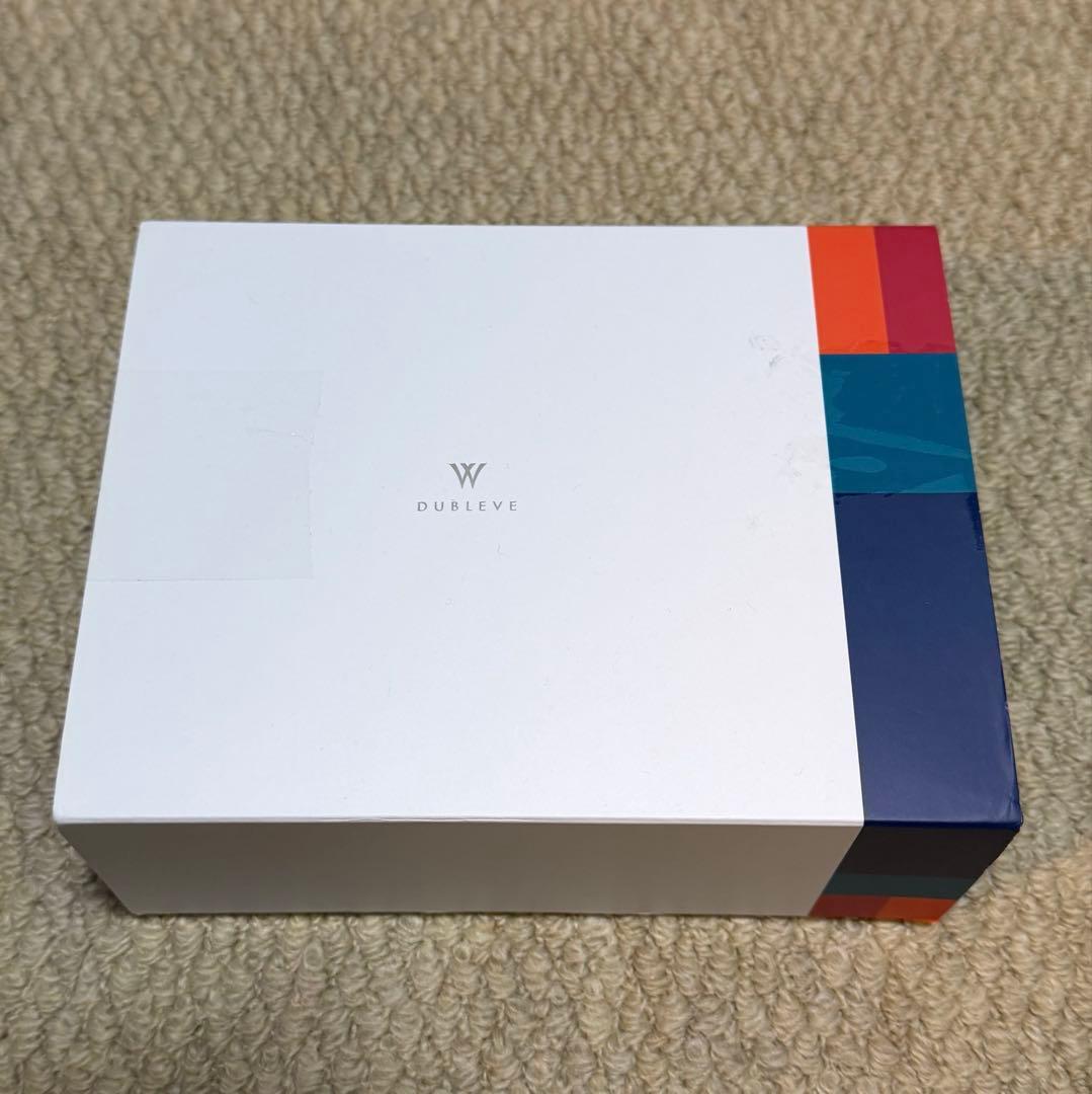 イヤホン radius HP-W100