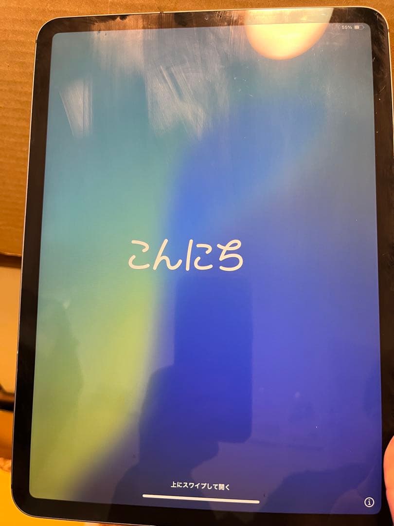 iPad Pro /11インチ/第1世代（2018）/1TB /セルラー/ペン付