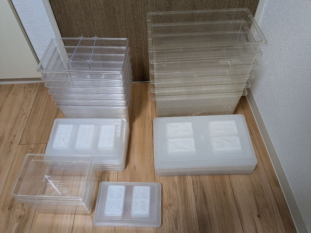 中古コバエシャッター大6 中6 小2