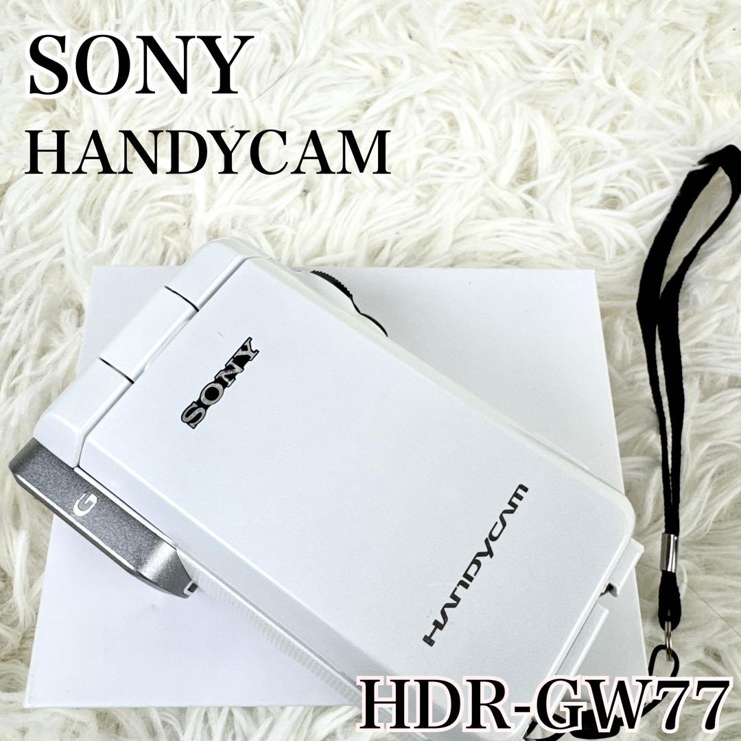 SONY ソニー　HDR-GW66 ハンディカム ホワイト