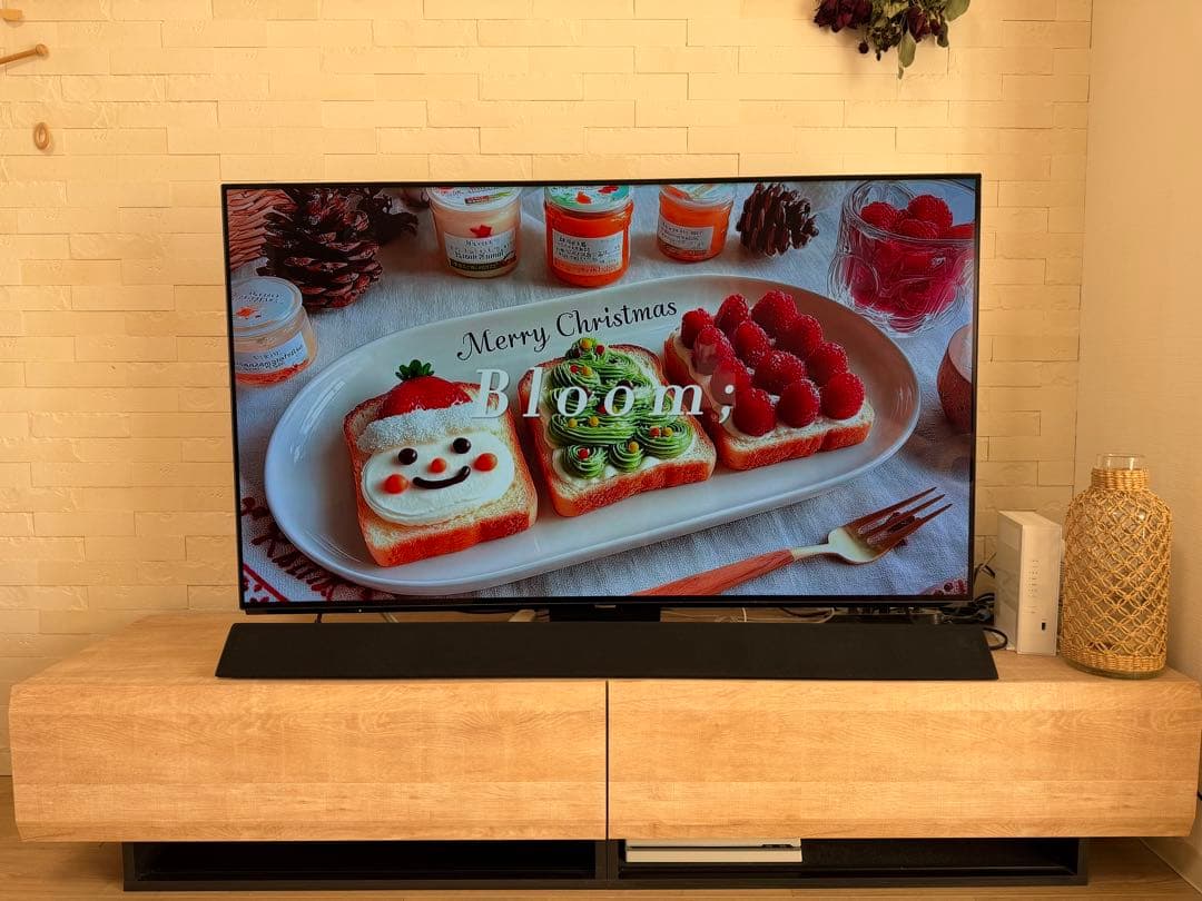 Panasonic 有機EL 55V型 TH-55FZ1000