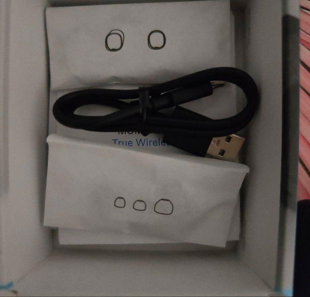 ゼンハイザー MOMENTUM True Wireless 4 極美品